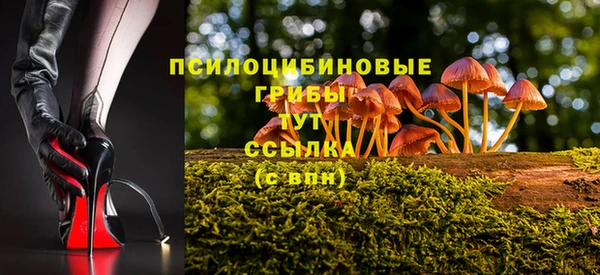 таблы Гусиноозёрск