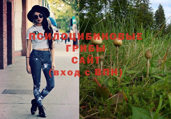 таблы Гусиноозёрск