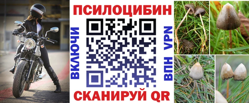 mega ссылки  цена   Жигулёвск  Псилоцибиновые грибы MAGIC MUSHROOMS 